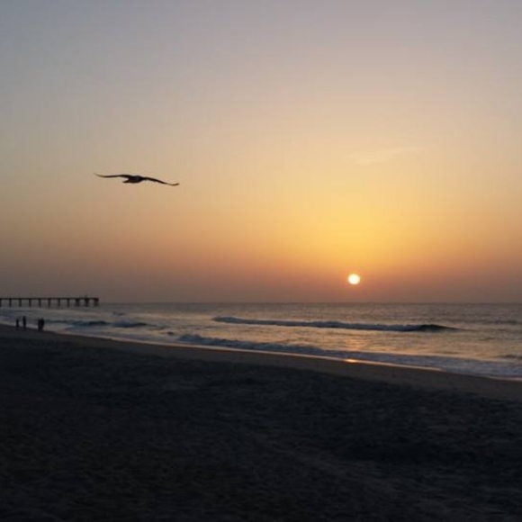 Meet your Posher, Cindy - Picture 1 of 1